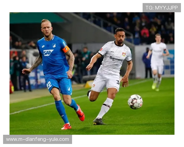霍芬海姆1899足球俱乐部的发展历程与未来展望分析